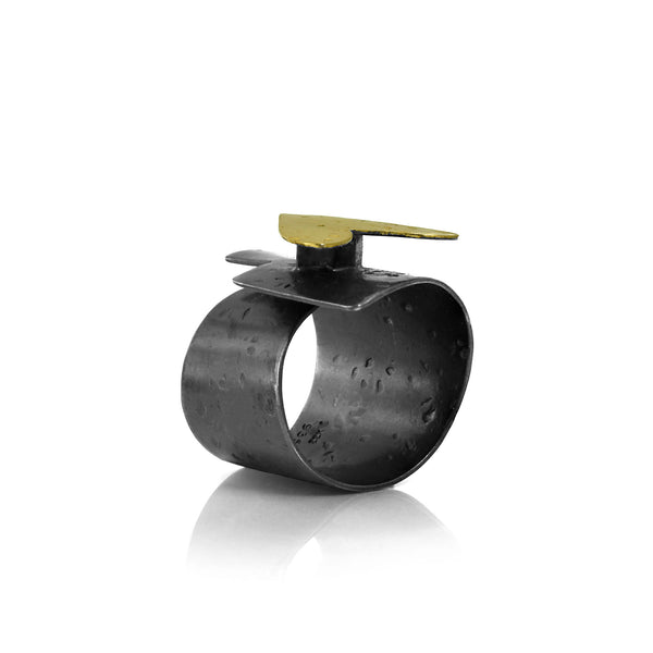 Diversity Love Ring