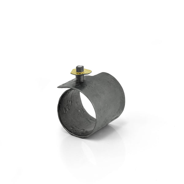 Diversity I Ring