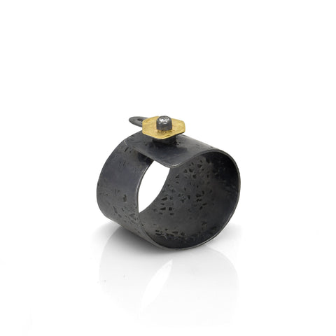 Diversity I Ring
