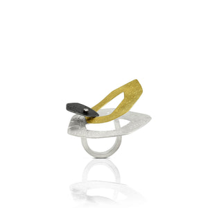 Saturn in the Night Sky Ring