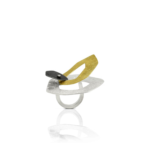 Saturn in the Night Sky Ring